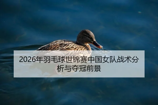 2026年羽毛球世锦赛中国女队战术分析与夺冠前景