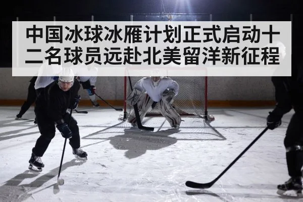 中国冰球冰雁计划正式启动十二名球员远赴北美留洋新征程